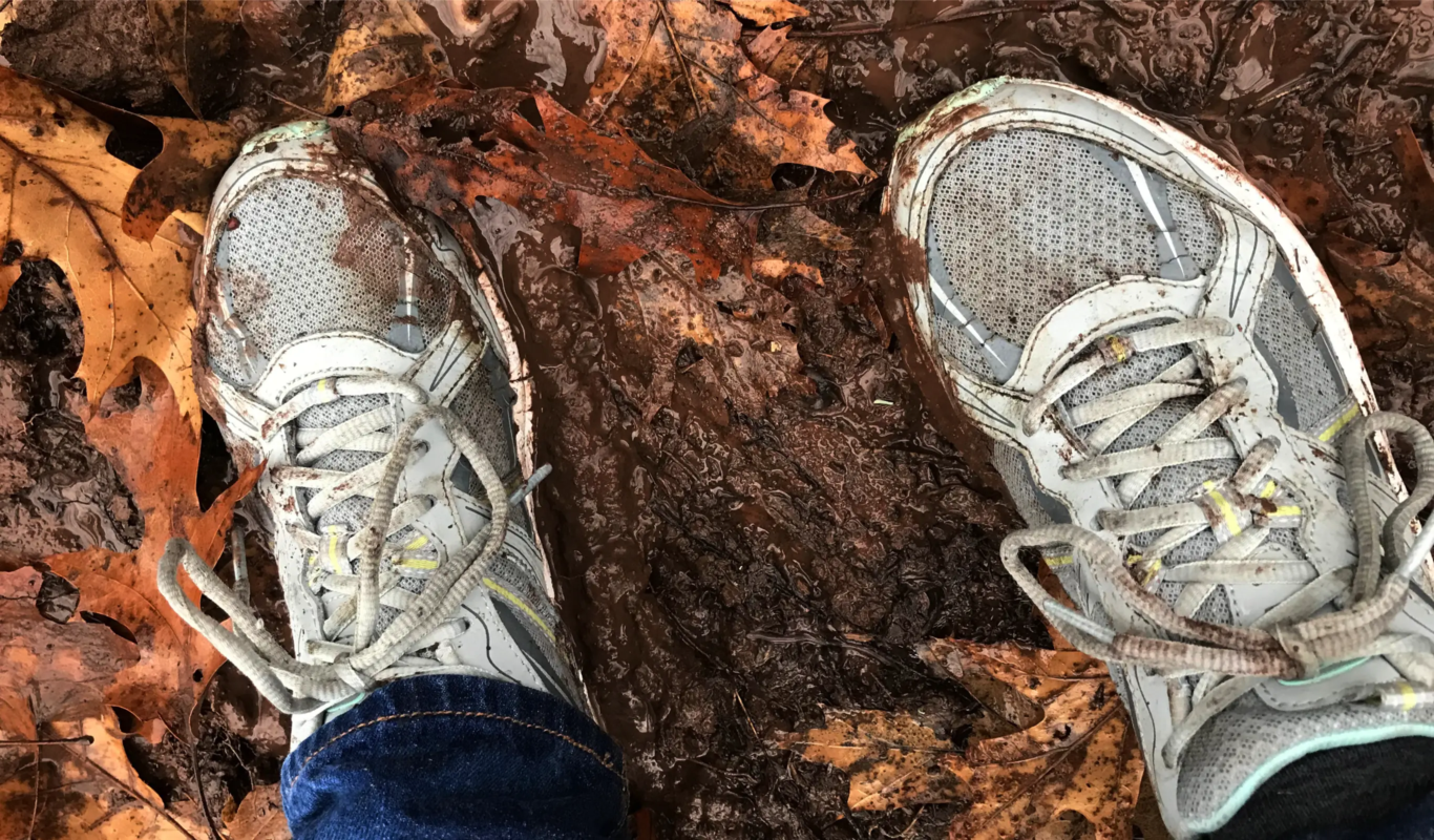 Trainers getting very muddy.